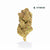 Garlic Truffle Classic THCA Flower