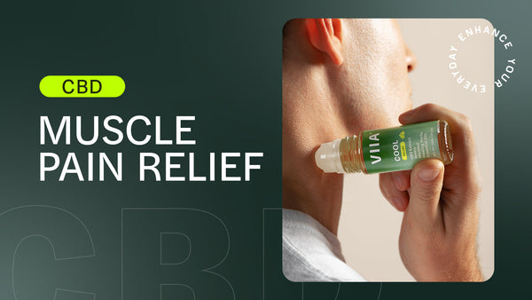 CBD for Muscle Pain: Does it Work?