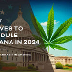 A New Era for Cannabis: DEA Moves to Reschedule Marijuana