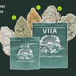 Best THCA Flower Strains Summer 2024