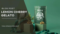 Strain Highlight: Lemon Cherry Gelato THCA Flower