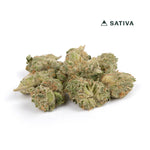 Lemon Bars Premium Smalls THCA Flower