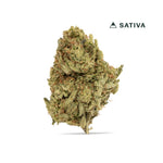 Stellar Days Classic THCA Flower