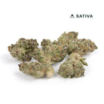 Tropicana Cherry Premium Smalls THCA Flower