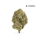 Wedding Cake Classic THCA Flower