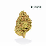 Blue Cherry Gelato Classic THCA Flower