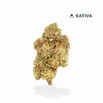 Future Haze High THCA Flower